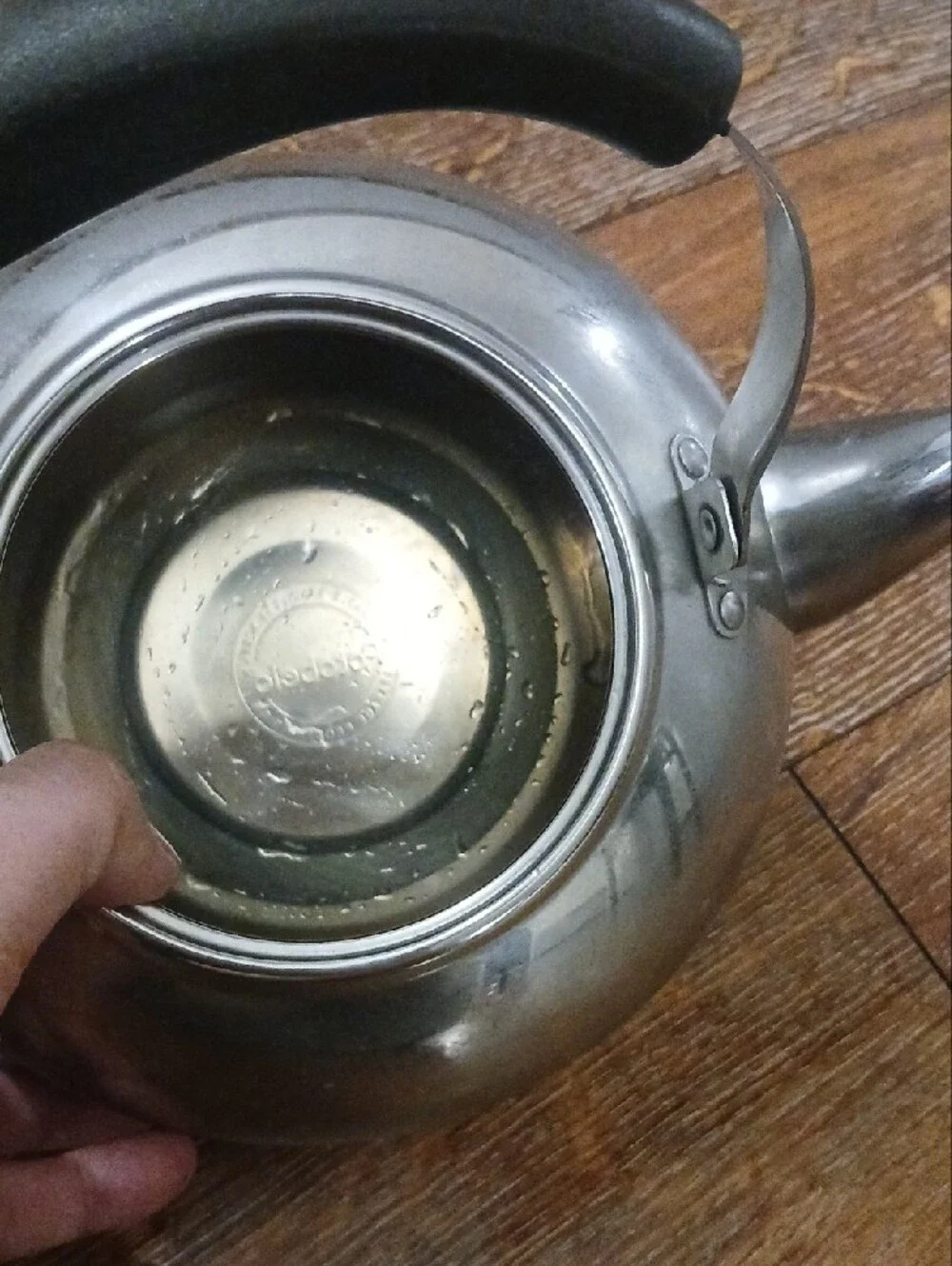 Potobelo Stainless Steel Teapot Kettle with Black Handle - Home Kitchen